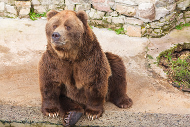 Similar image 524315