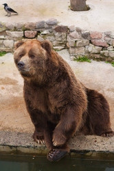 Similar image 524316