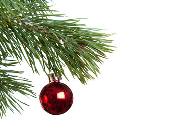 Similar image 524328