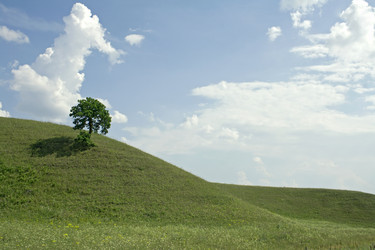 Similar image 524441