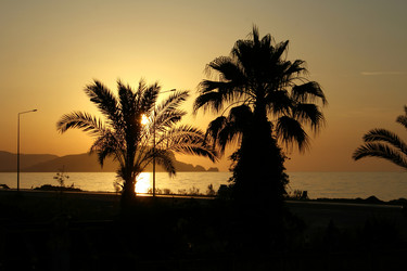 Similar image 524468