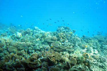 Similar image 524476