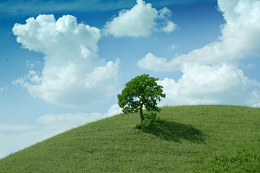 Similar image 524617