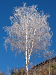 Similar image 524624