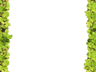 Similar image 524676