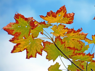 Similar image 524680