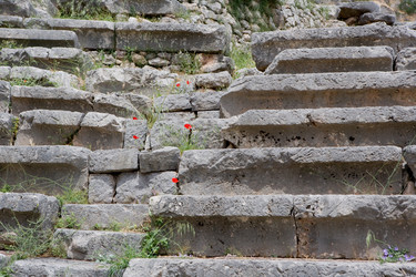 Similar image 524685