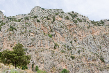 Similar image 524694