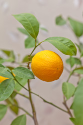 Similar image 524746