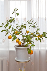 Similar image 524747