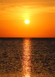 Similar image 524764