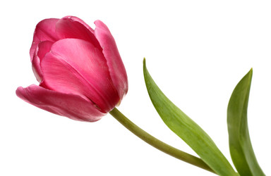 Similar image 524781