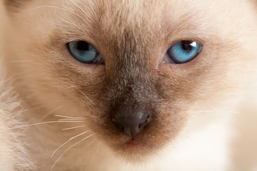 Similar image 524785