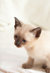 Similar image 524786