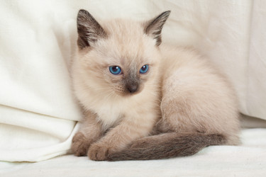 Similar image 524787