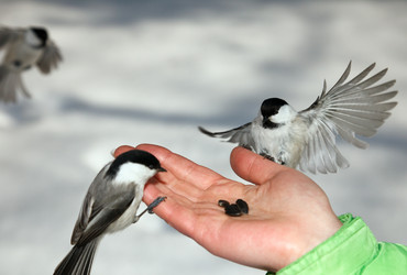 Similar image 524966