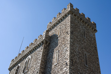 Similar image 524986