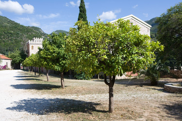 Similar image 525003