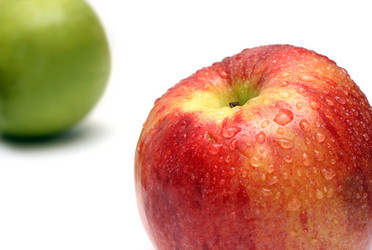 Similar image 525037