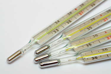 Similar image 525132