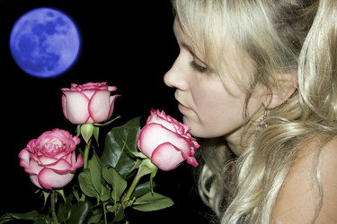 Similar image 525143