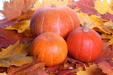 Similar image 525150