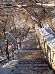 Similar image 525158