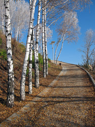 Similar image 525163