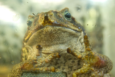 Similar image 525164