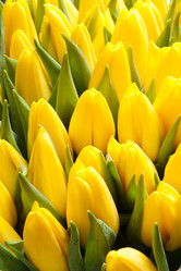 Similar image 525176