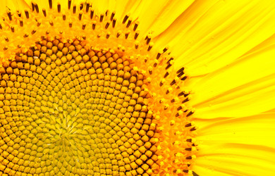 Similar image 525182