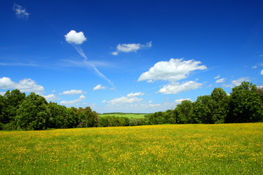 Similar image 525241