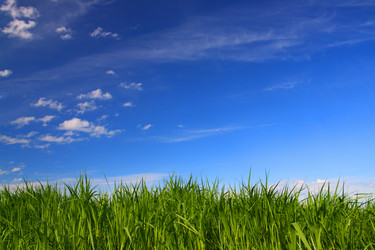 Similar image 525246