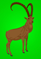 Similar image 525250