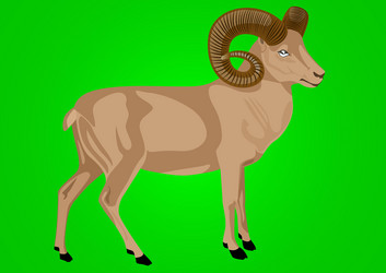 Similar image 525255