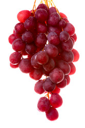 Similar image 525322