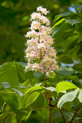 Similar image 525328