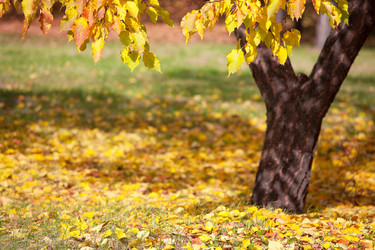 Similar image 525375