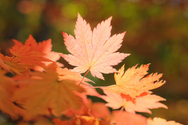 Similar image 525380