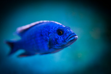 Similar image 525390