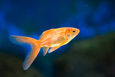 Similar image 525391