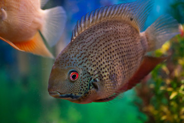 Similar image 525394