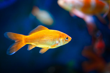 Similar image 525395