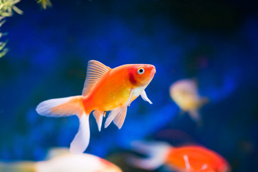 Similar image 525403