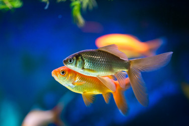 Similar image 525407