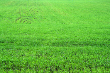 Similar image 525437