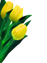 Similar image 525499