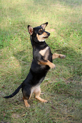 Similar image 525523