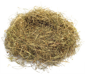 Similar image 525597