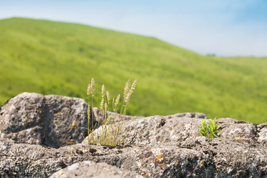 Similar image 525727